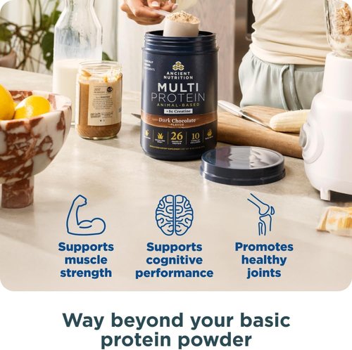 Ancient Nutrition Multi Protein Powder - 26g Protein, Grass Fed Whey & Creatine, Dark Chocolate, 15 Servings