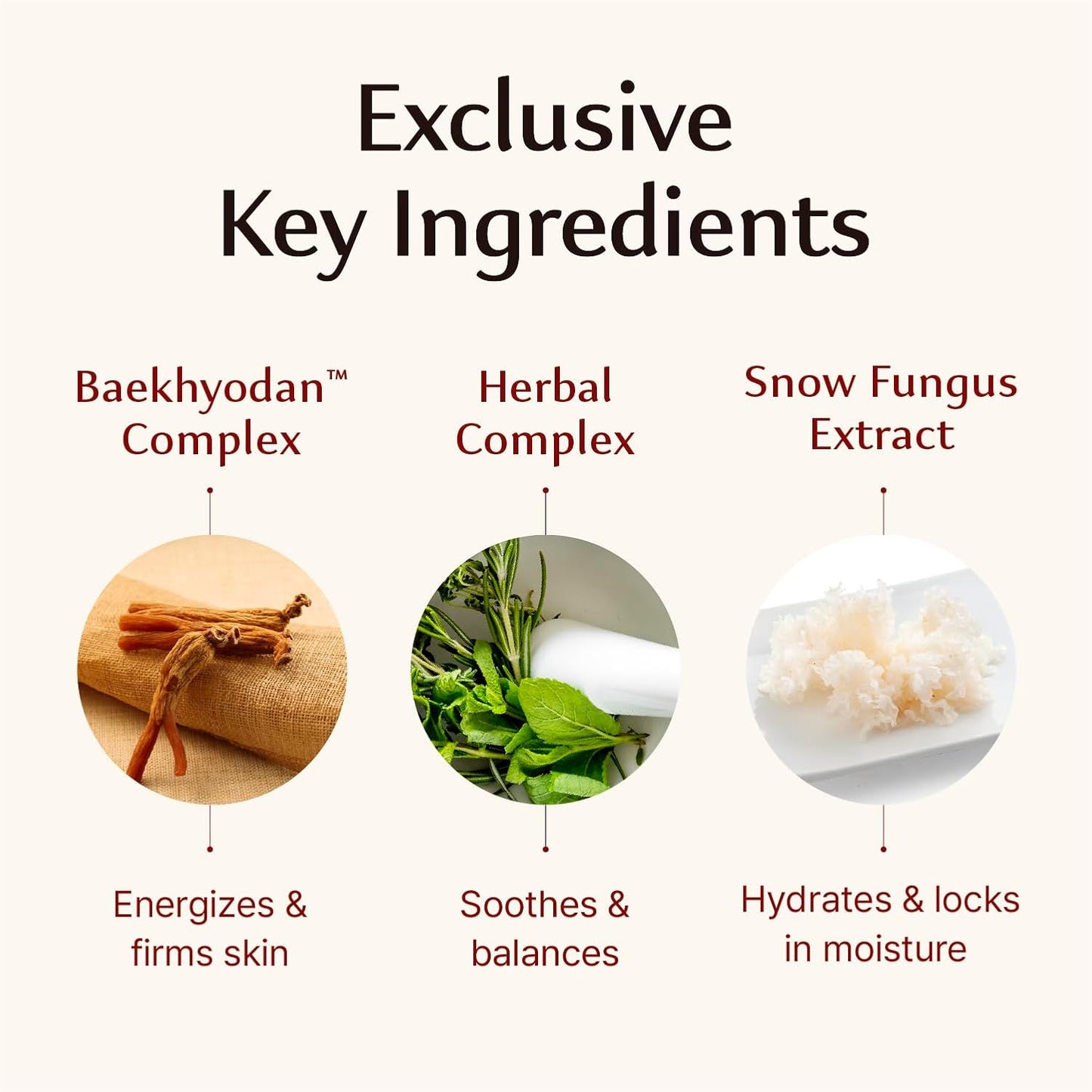 Sooryehan Hyobidam Fermented Cream - Korean Face Moisturizer with Wild Ginseng | 1.7 fl oz Wrinkle & Night Cream