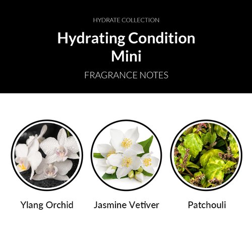 Number 4 Mini Hydrating Hair Conditioner - Travel Size Moisturizing Formula for Dry, Damaged Hair | 1.5 oz