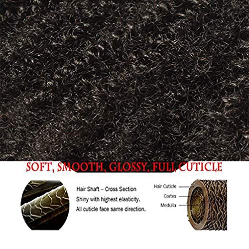 SAEIALL Hair Mongolian Afro Kinky Curly Clip In Hair Extensions 120g/bundle Clip On Hair Mongolian Virgin Remy Human Hair 4C Afro Kinky Clip Ins (8inch, natural black)