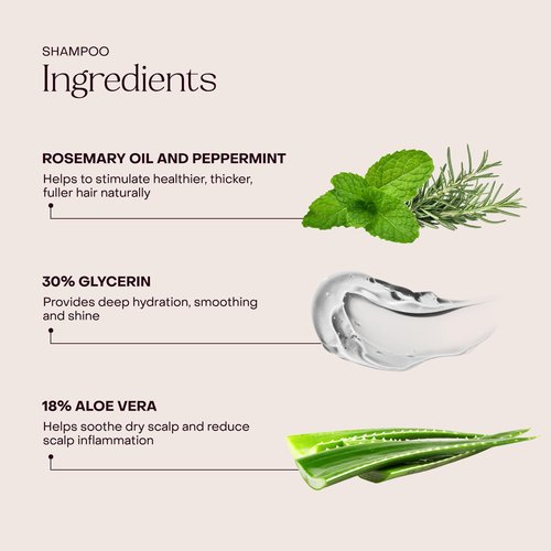 Everist Haircare Meets Skincare Set - Shampoo & Deep Conditioner Concentrates | Strengthens, Hydrates & Soothes, 3.4 fl oz Each