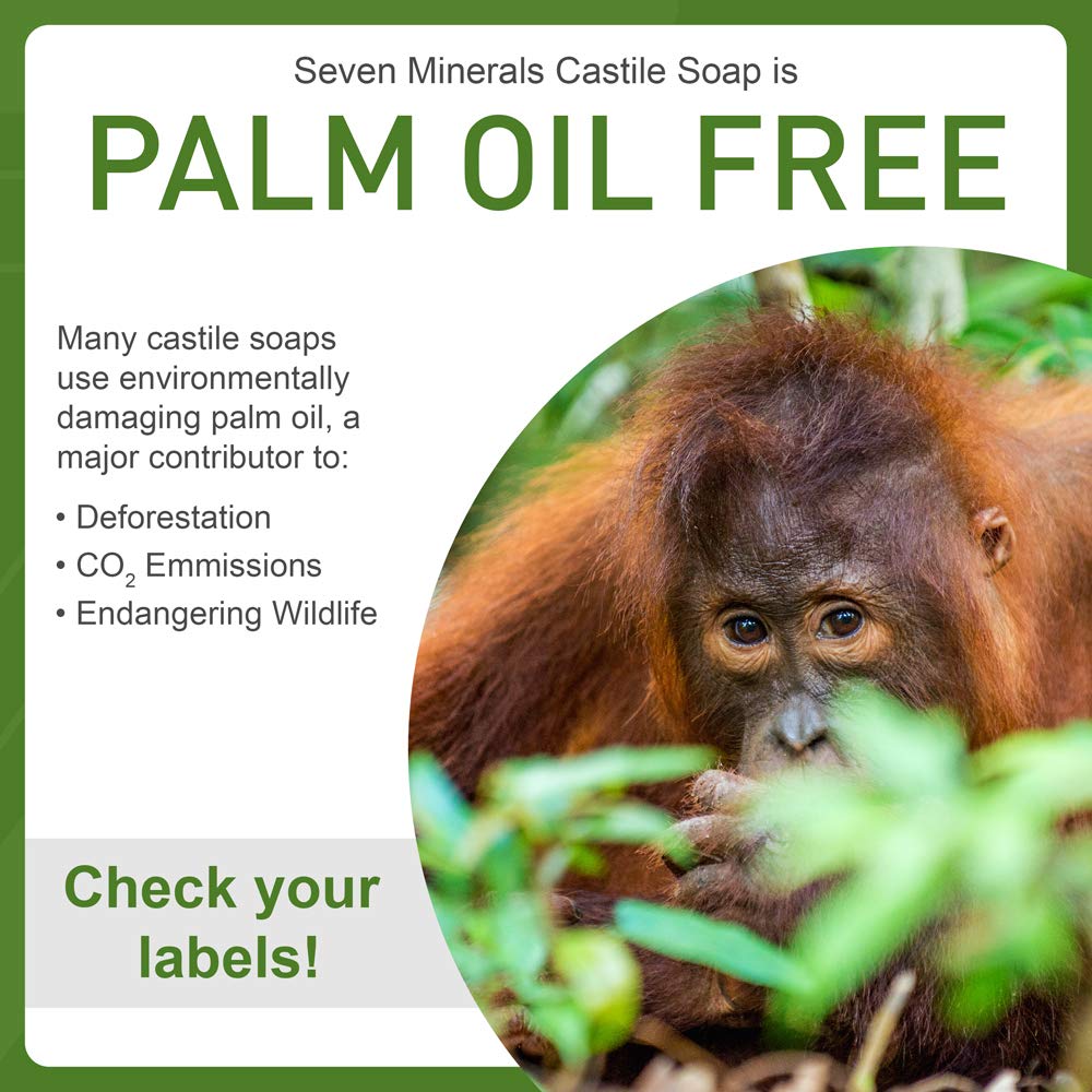Seven Minerals Castile Soap - EWG Verified, Unscented & Gentle for Sensitive Skin | 1 Gallon, Vegan Formula
