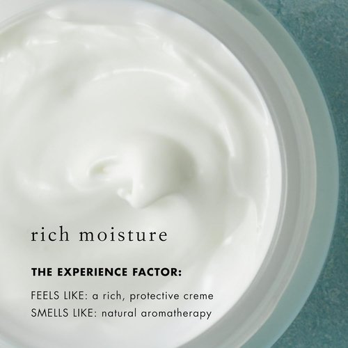 Bioelements SPF 50 FaceScreen | Antioxidant Broad-Spectrum Sunscreen Moisturizer - 2.3 oz, Vegan & Gluten-Free