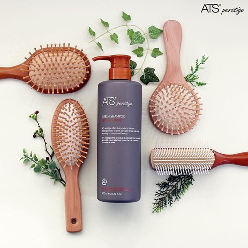 ATS Perstige Bresh Shampoo - 600ML | Silicone-Free Formula for Oily Scalp Soothing