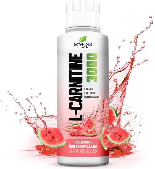 Liquid L-Carnitine by Skiennix - 3000 mg Fast Absorption Formula | Sugar-Free, Vegan, Non-GMO | Energy & Metabolism Support | 31 Servings