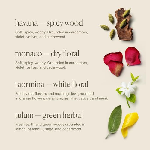 EvolveTogether Aluminum-Free Natural Deodorant - 4 Pack Travel Set | Vegan & Cruelty-Free, Soothes Skin