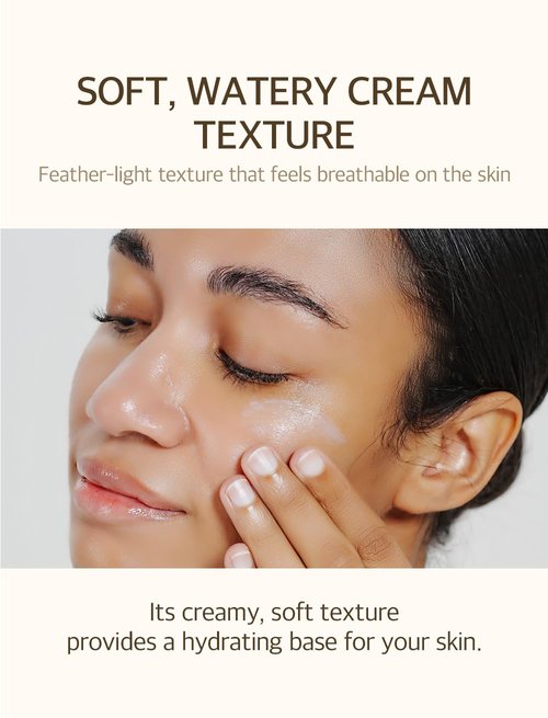 Mixsoon Bean Sunscreen - Lightweight SPF 50 Korean Sunscreen for Face | No White Cast, Non-Sticky, 50ml