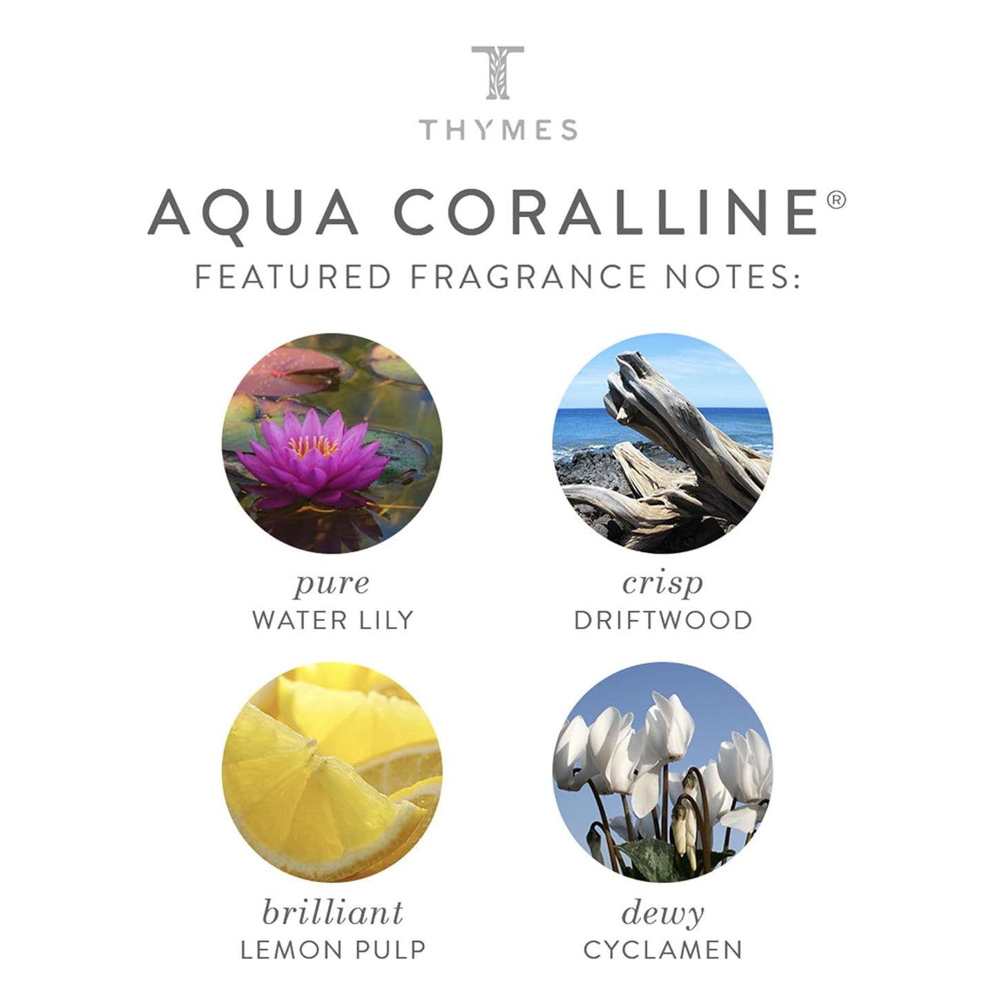 Thymes Moisturizing Hand Wash Soap - Gentle Cleanser & Hydrating Formula - Aqua Coralline, 8.25 oz