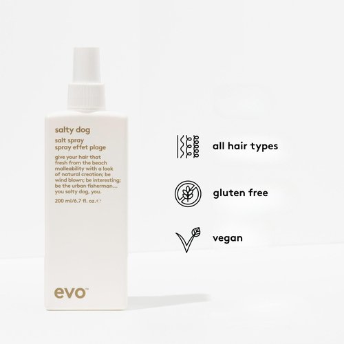 EVO Salty Dog Salt Spray - Hair Texture & Volume Spray - Beach Textured Hair, Natural Matte Finish