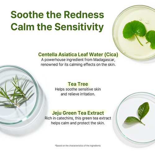 AVCA Cica Tea Tree Calming Serum - Soothing Redness & Blemish Control for Sensitive Skin | 100ml (3.38 fl. oz)