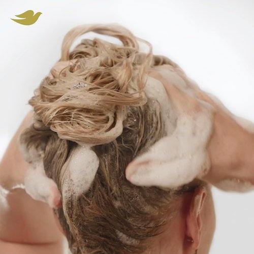 Dove Bond Strength Shampoo & Conditioner Set - Repair Damaged Hair & Frizz | 3-Piece Bundle