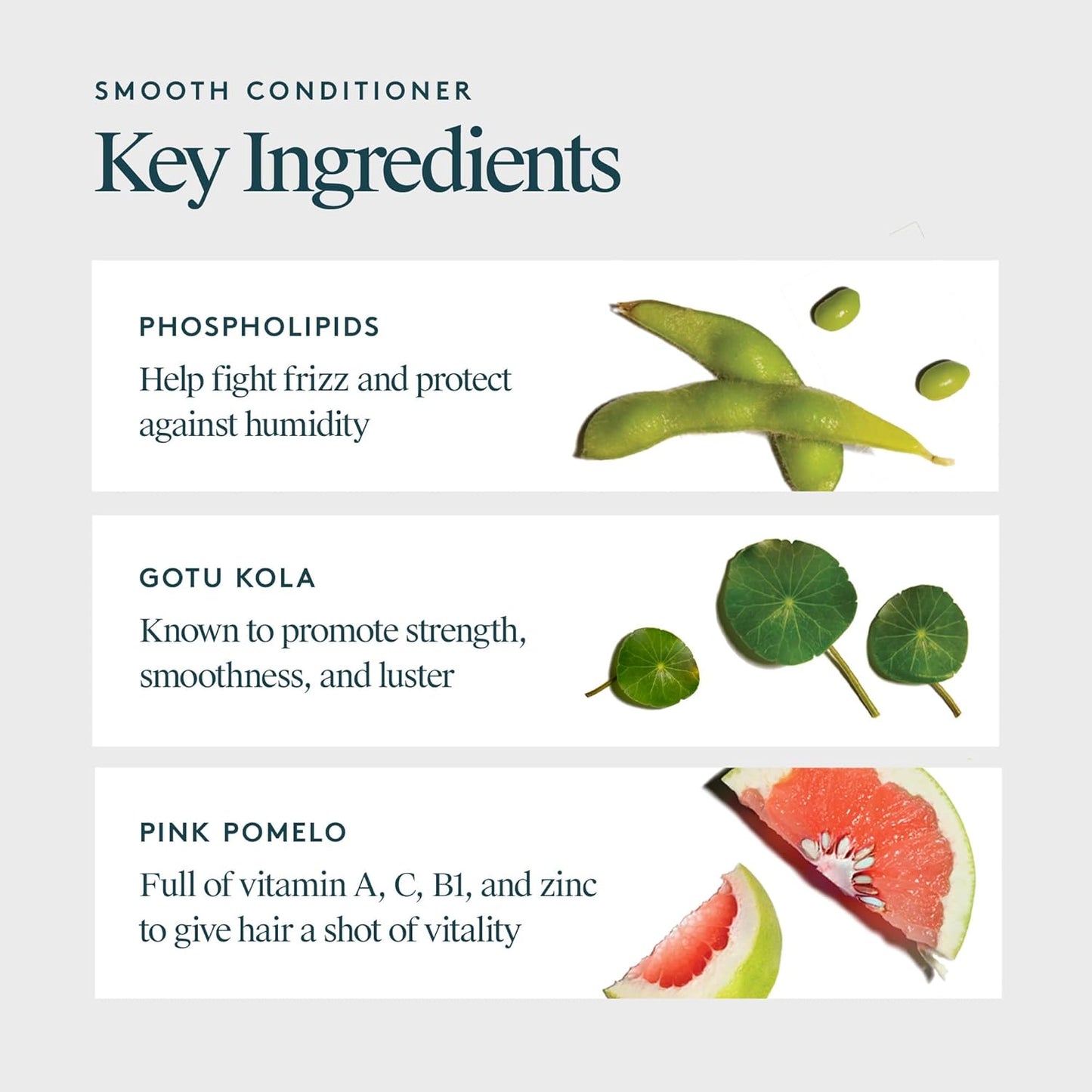 Virtue Smooth Conditioner - Frizz Control for Curly Hair | Sulfate-Free & Color Safe, 8 oz