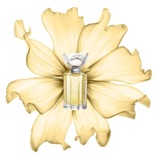 Oscar de la Renta Esprit D'Oscar
