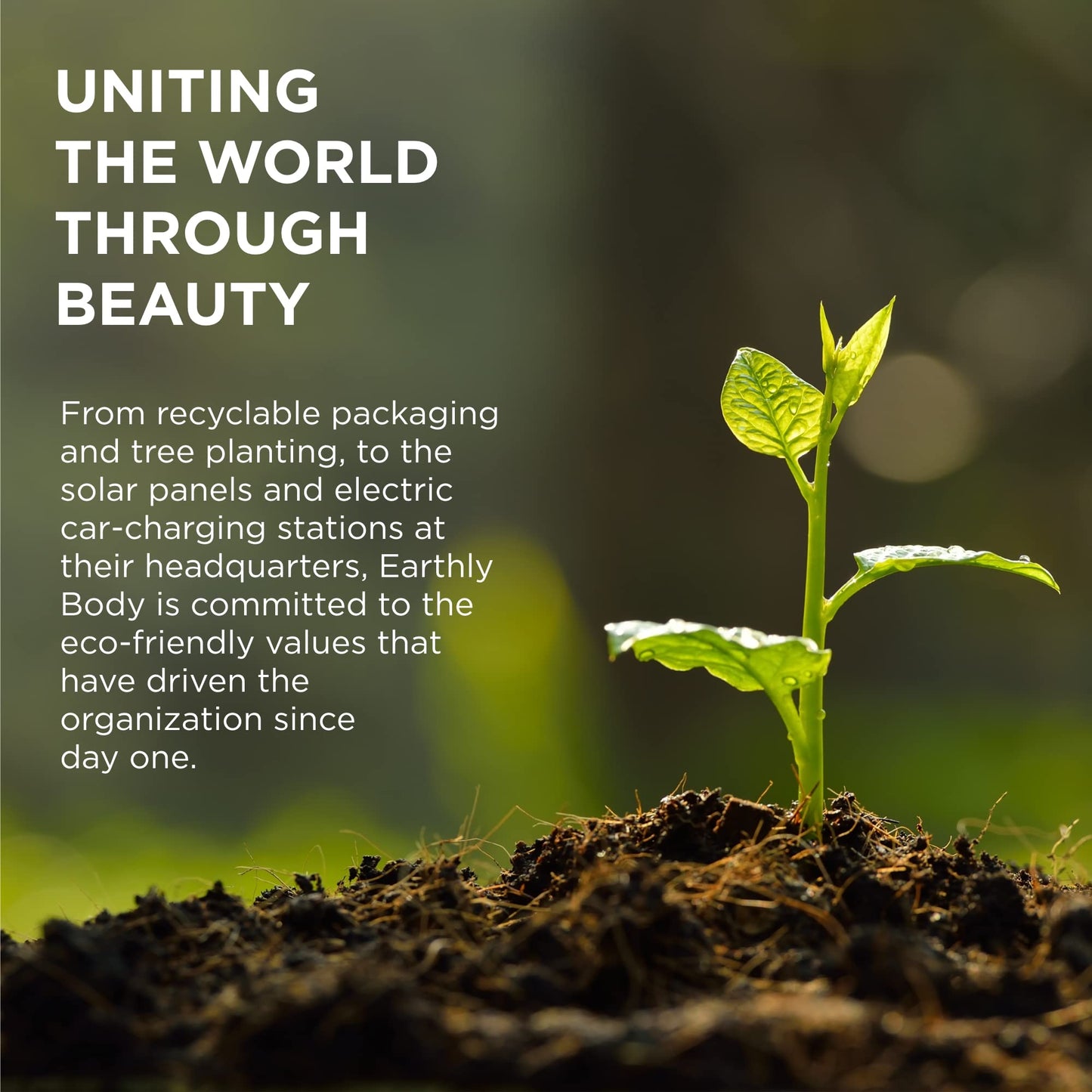 Hemp Seed Hair Care Shampoo, Naked in the Woods - 8 oz - Moisturizes Hair, Cleans & Soothes Scalp - Sulfate-Free Formula with Hemp Seed Oil & Coconut Oil - Vegan, Cruelty Free