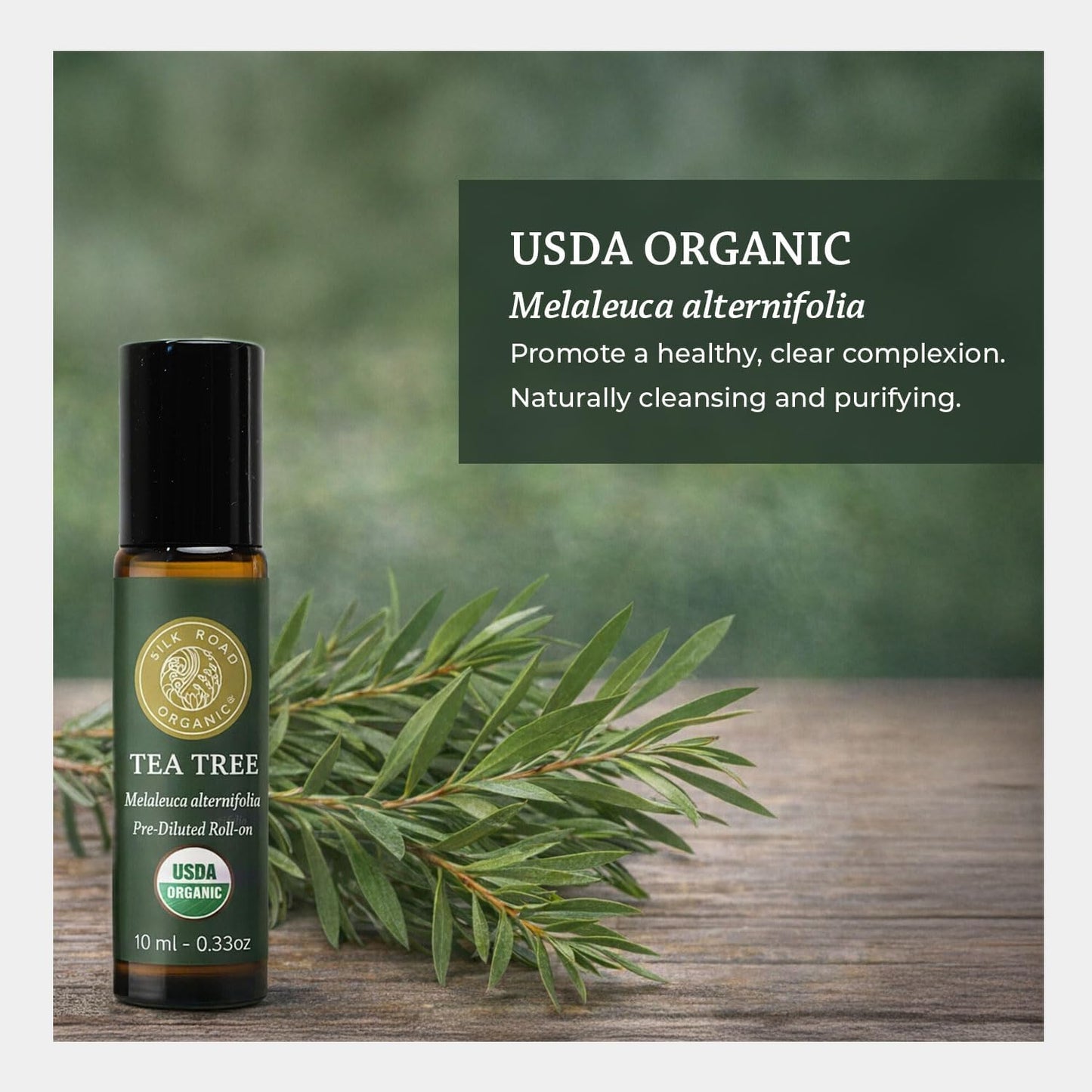 Silk Road Tea Tree Essential Oil Roll-On | 100% Pure USDA Certified for Healthy Skin & Nail Care - 10 ml