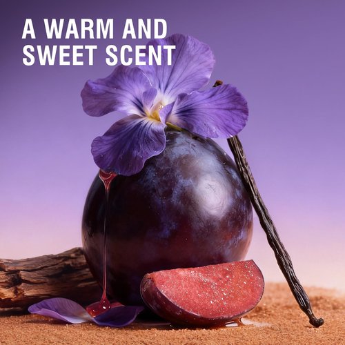 Sttes Smell Rio Perfume 05# (Vanilla Orchid Sandalwood) - Eau De Parfum, 100ml/3.4 fl.oz, Purple, Sugared Violet & Plum, Amber & Vetiver Notes