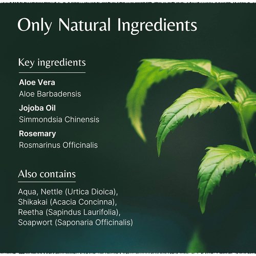 Aloe Vera Jojoba Shampoo - Organic Rosemary Infused Formula | 200ml for Nourished Hair