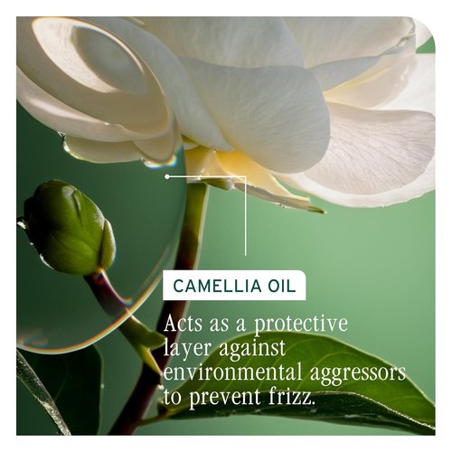Biolage Smooth Proof Leave-In Cream - Anti-Frizz Control & Manageability | Vegan & Paraben-Free
