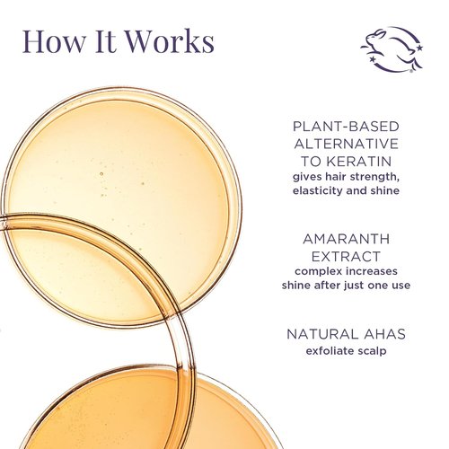 Meaningful Beauty Deluxe Age-Proof Haircare System - Travel Size for Nourished Scalp & Stronger Hair