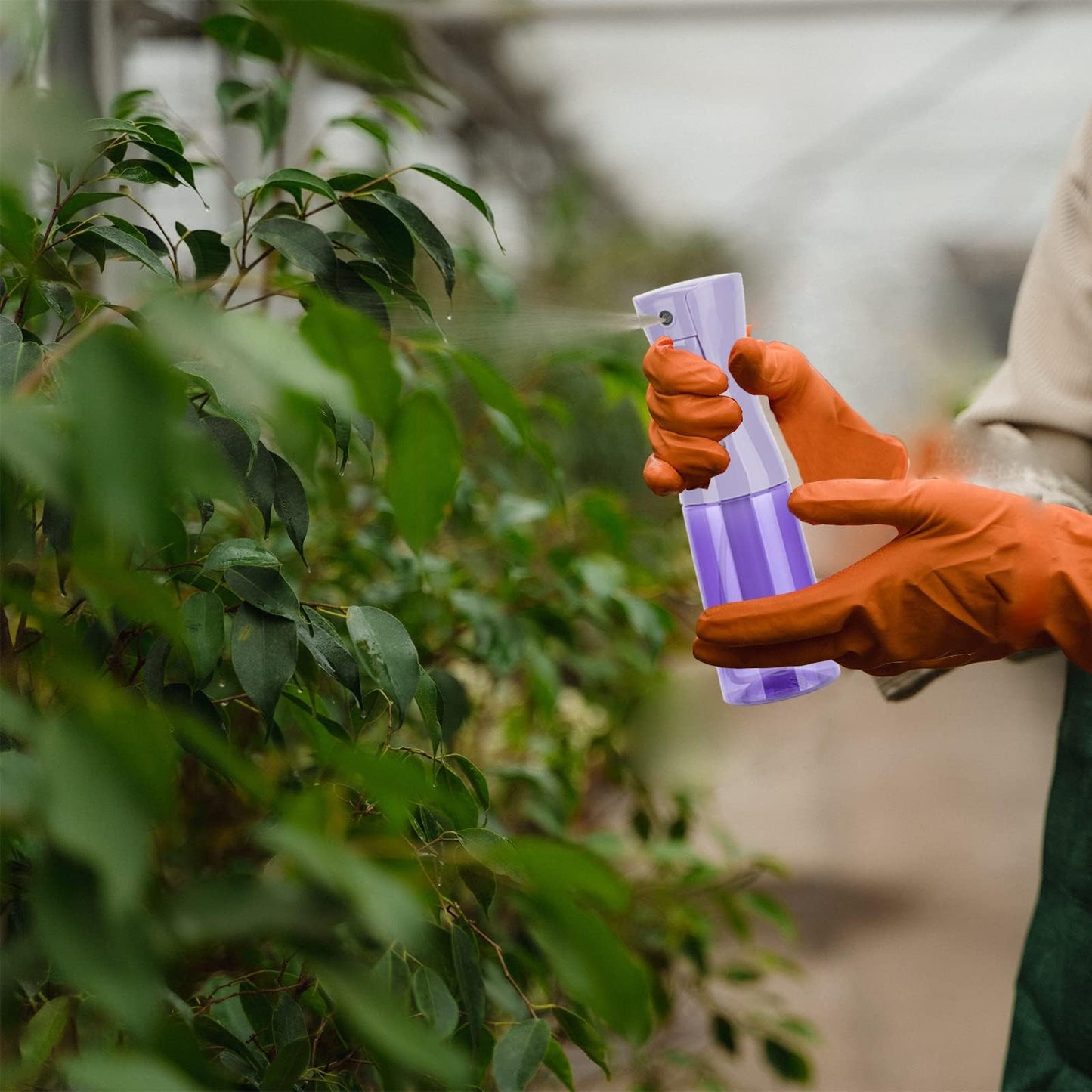 Zuhose Continuous Spray Bottle, 6.8OZ /200ML Hair Mister Spray Bottle, Mist Spray Bottle for Hair, Fine Mist Water Spray Bottle for Salons,Barber, Plants, Skin Care, Cleaning(Clear Purple,1 Pack)