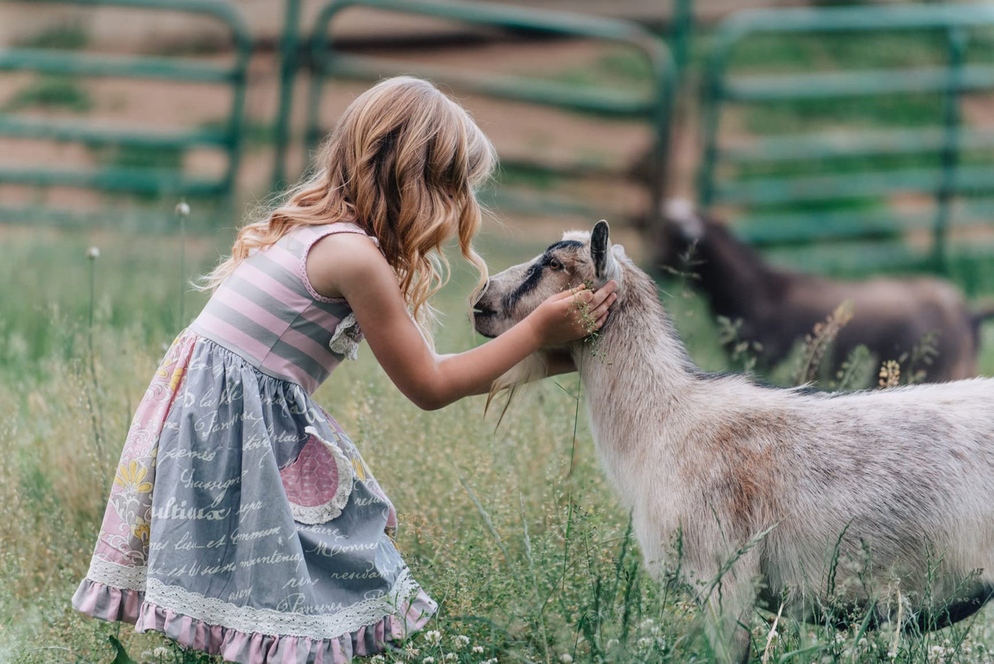 Caprina by Canus Amazing Body Wash, Orchid Oil, With Fresh Canadian Goat Milk, Gentle Soap, Moisturizing, Vitamin A, B2, B3, & More, 16.9 Fl Oz