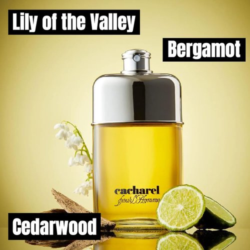 Cacharel Pour L'Homme Cologne - Woody & Spicy Fragrance with Cedar Wood & Bergamot | 3.4 Fl Oz