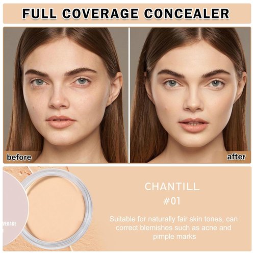 Regine Switzerland Under Eye Concealer - Dark Circle Corrector & Brightener | Full Coverage, Long-Lasting (01 Chantill)