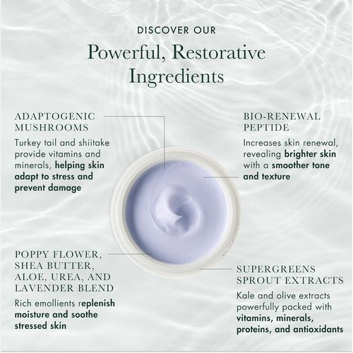 RéVive Rescue Balm Overnight Face Mask - Nourishing Formula to Restore Skin Vitality & Reduce Stress Signs - Peptides, Shea Butter & Aloe Vera (2.5 oz)