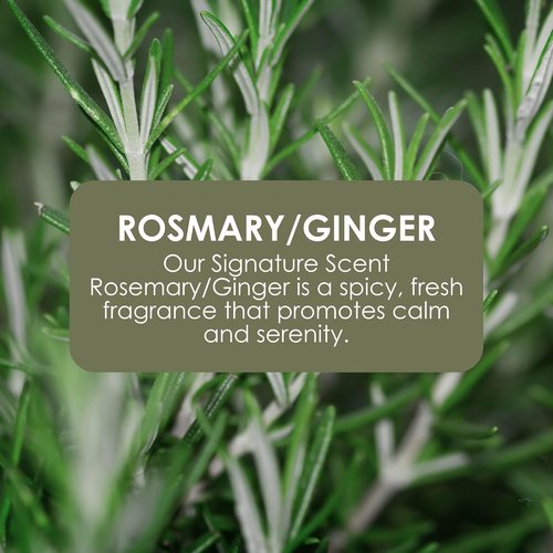 Jean & Len Hand & Body Wash - Rosemary & Ginger | Cleans & Nourishes Skin, 169.07 Fl. Oz.