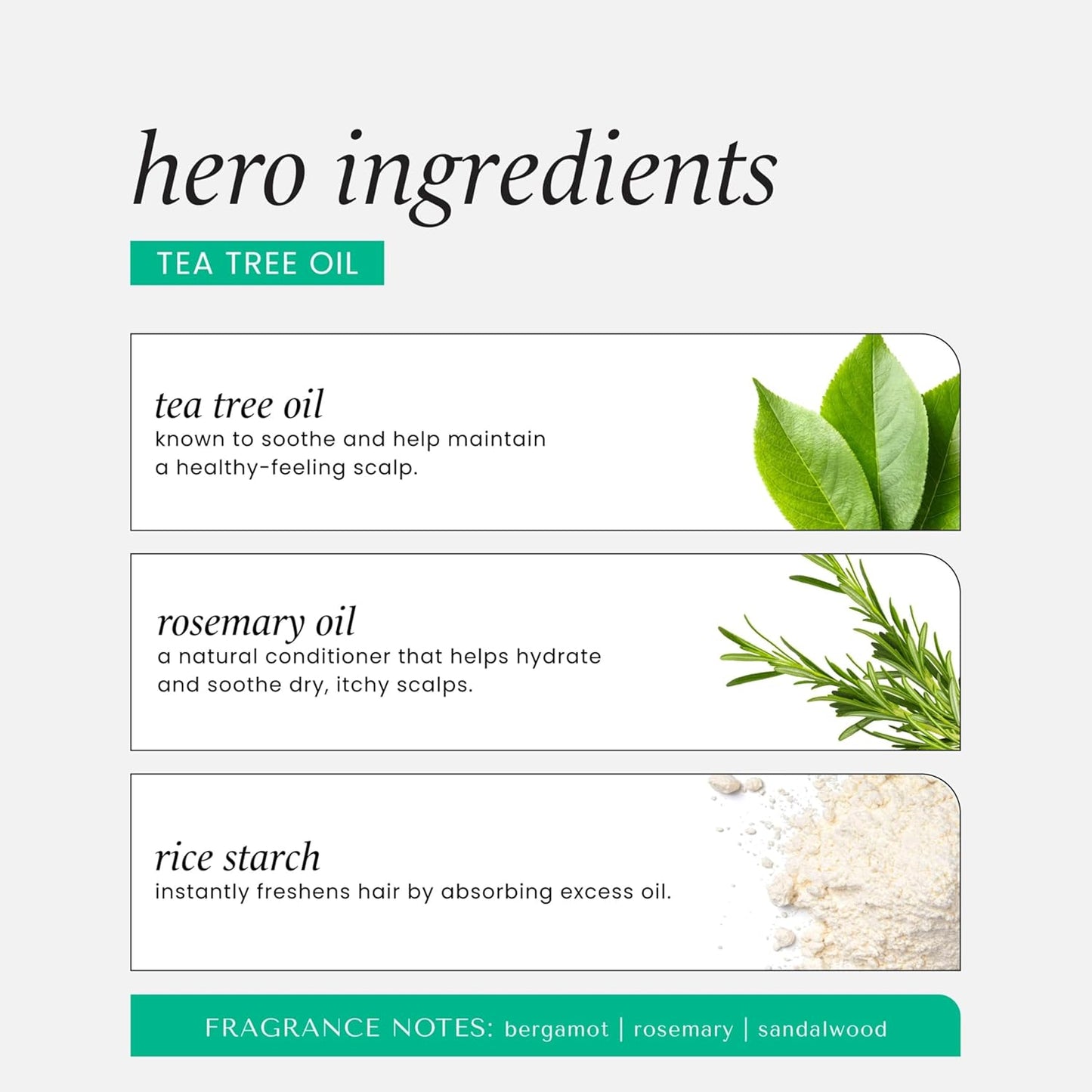 HASK Tea Tree Dry Shampoo - Invigorating Formula for Oily Scalps, Hypoallergenic, 8.1oz