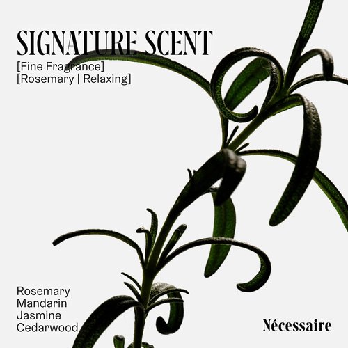 Nécessaire Rosemary Conditioner - Multi-Protein Strengthening Formula for Thinning Hair | 500 ml / 16.9 oz
