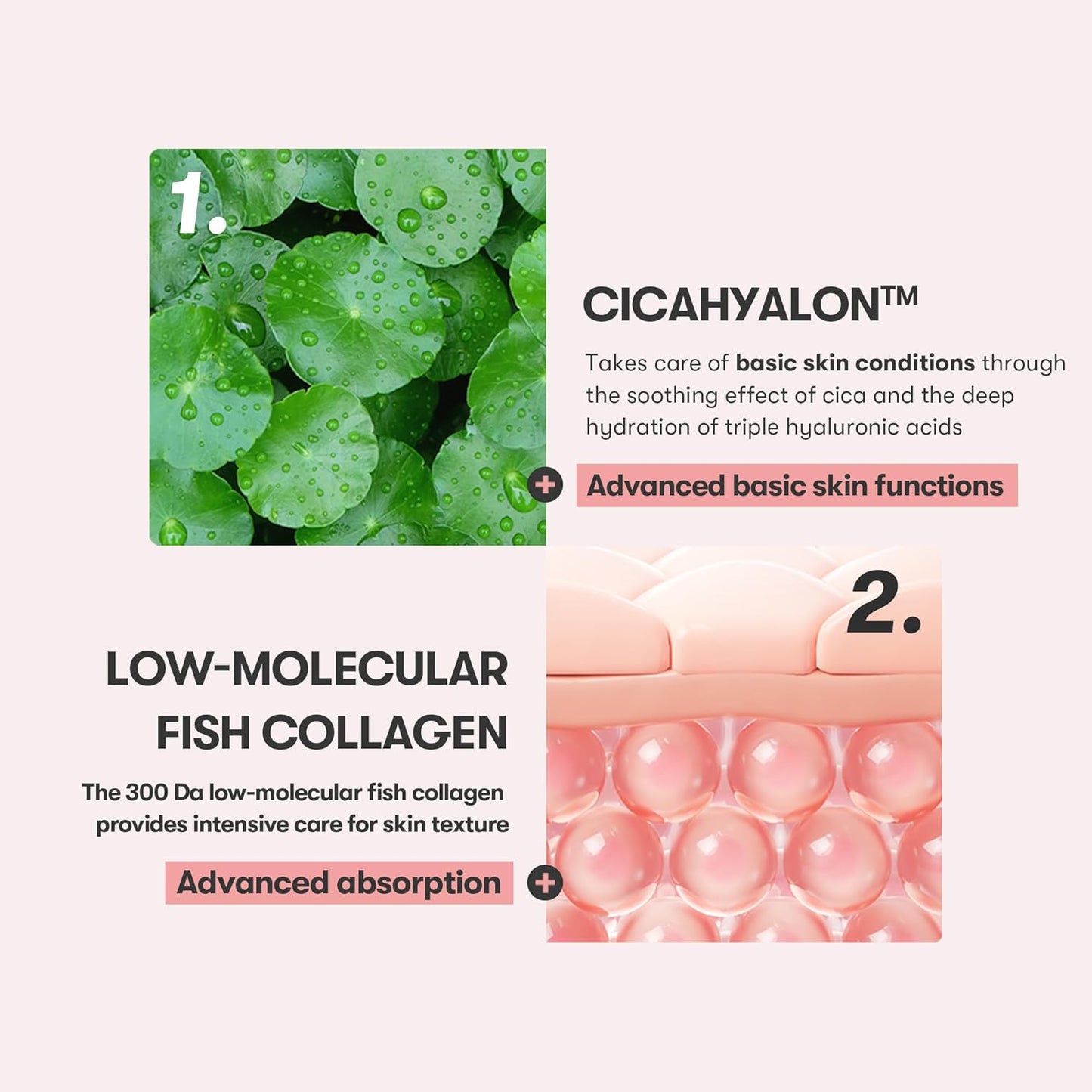 VT COSMETICS Cica Collagen Essence - Firming Pink Serum with 300Da Collagen Extract & Peptide Complex