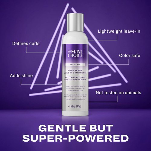 Alpha Recoil & Curl Leave-In Conditioner - 6 oz Cream for Coily, Curly & Wavy Hair | Repairs & Moisturizes with Vitamins