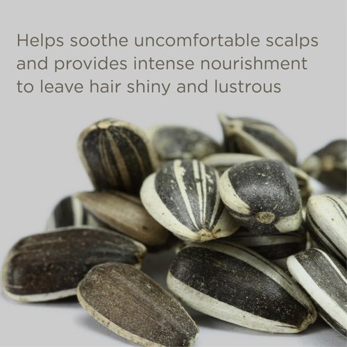 Hairitage Fragrance-Free Shampoo - Ultra-Mild & Moisture-Rich with Chamomile & Sunflower Seed Oil | 13 oz for Sensitive Scalps
