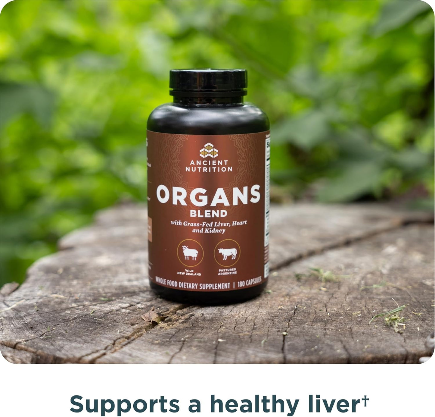 Ancient Nutrition Organ Supplements - Grass-Fed Organ Complex Capsules for Liver, Heart & Kidney Support | 180 Ct