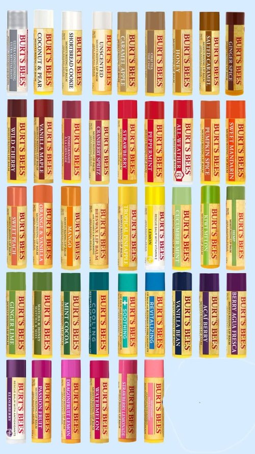 Burt's Bees 10 Count Lip Balm Variety Gift Pack -Stocking Stuffer - Assorted Flavors - Choosen at Random