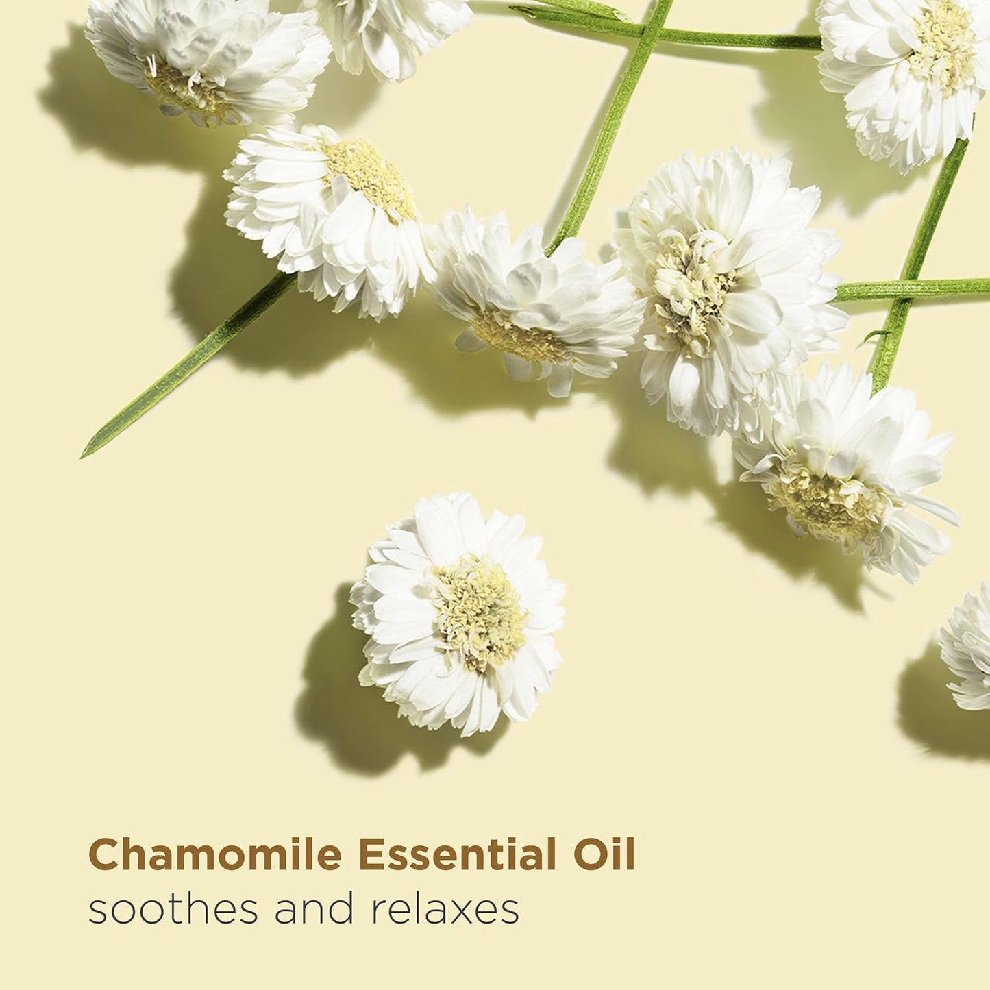 Clarins Relax Body Treatment Oil - Soothes Aching Muscles & Relieves Stress | 100% Natural Plant Extracts