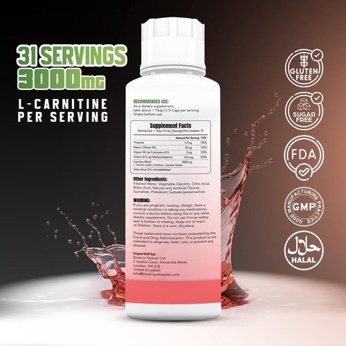 Liquid L-Carnitine by Skiennix - 3000 mg Fast Absorption Formula | Sugar-Free, Vegan, Non-GMO | Energy & Metabolism Support | 31 Servings