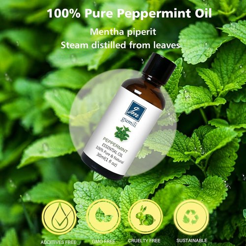 GM Gumili Peppermint Oil - 100% Pure Essential Oil for Diffusers, Hair, Soap & Body Wash | 30ml