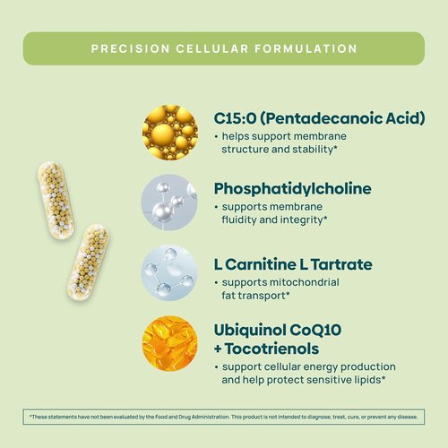 C15:0 Pentadecanoic Acid Supplement | Longevity, Cellular & Membrane Support, Micro-Granule Enhanced Absorption, Phosphatidylcholine, L-Carnitine, Ubiquinol CoQ10 & Tocotrienols – 120ct