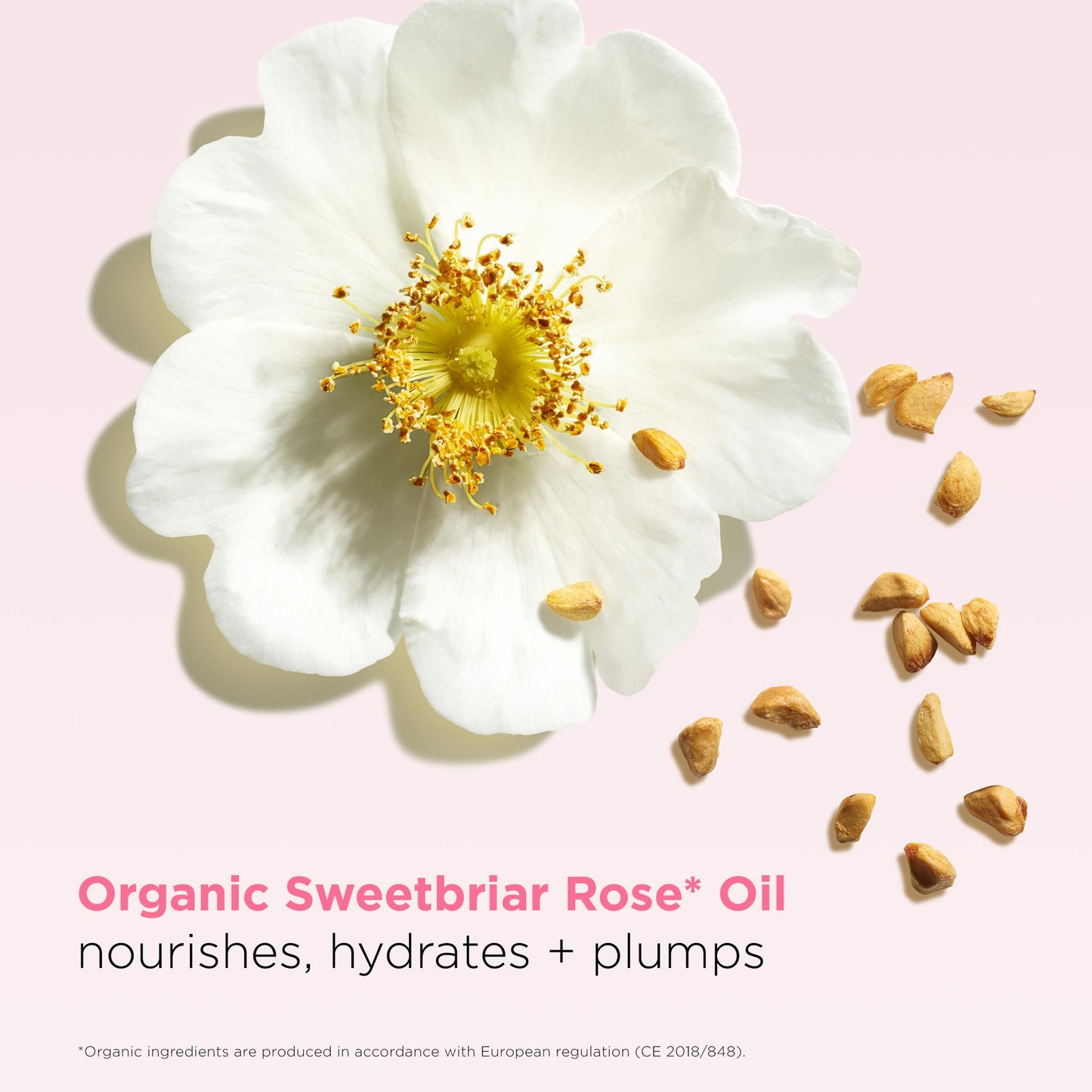 Clarins NEW Lip Oil Balm | Nourishes, Hydrates, and Visibly Plumps | Natural, Sheer Finish and Shine | 99% Skincare Formula and 96% Natural Ingredients | Contains Hydrating Peptide | 0.1 Ounce