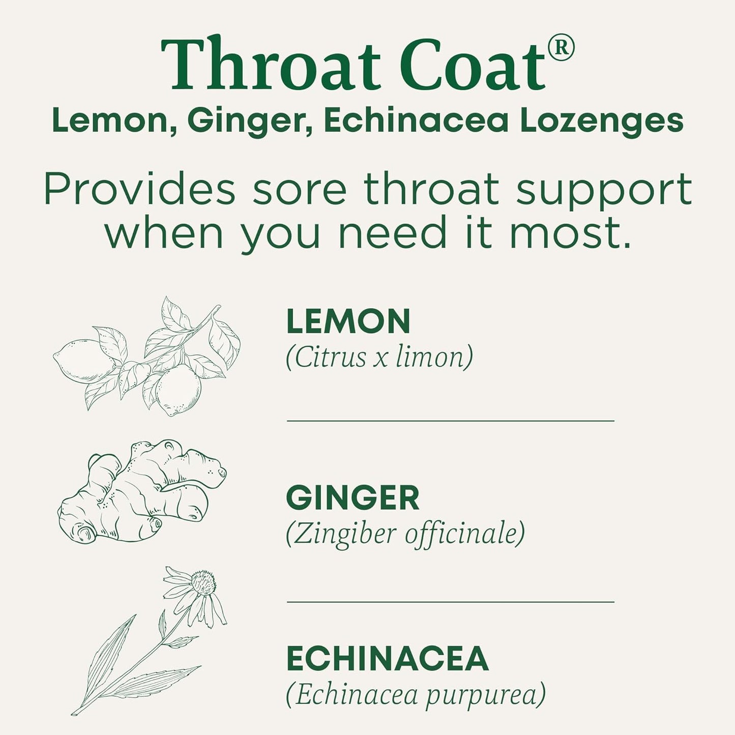 Traditional Medicinals Organic Throat Coat Lozenges - Lemon Ginger Echinacea for Sore Throat Relief | 30 Individually Wrapped