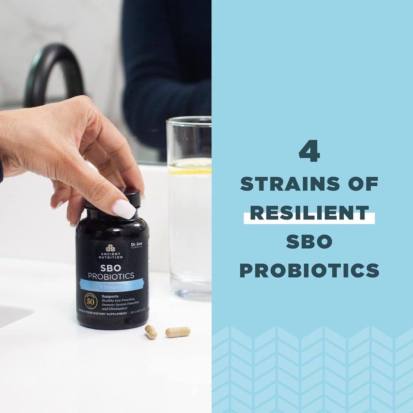 Ancient Nutrition Probiotics - SBO Probiotics with 50 Billion CFUs for Digestive & Immune Support | 60 Gluten-Free Capsules