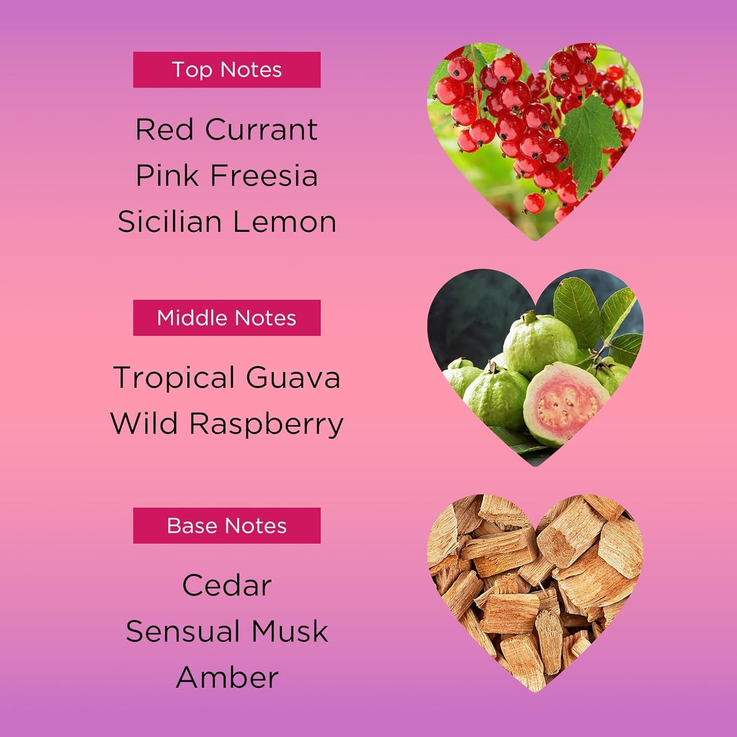 Bebe Love Body Mist - Floral Fruity Body Spray for Women - Romantic Scent with Sicilian Lemon & Redcurrant - 8.4 oz