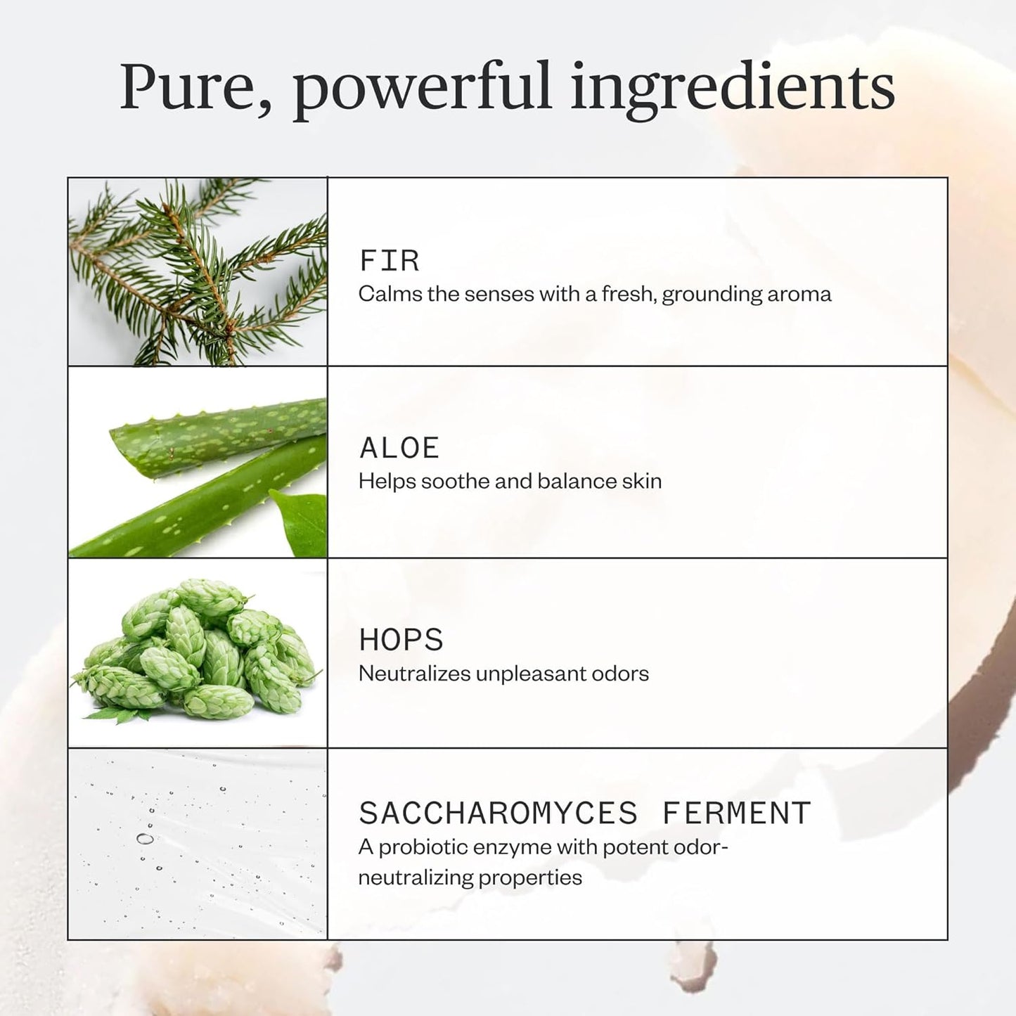 Ursa Major Natural Deodorant - Forest Fix | Aluminum-Free & Non-Staining | 2.6 Ounces