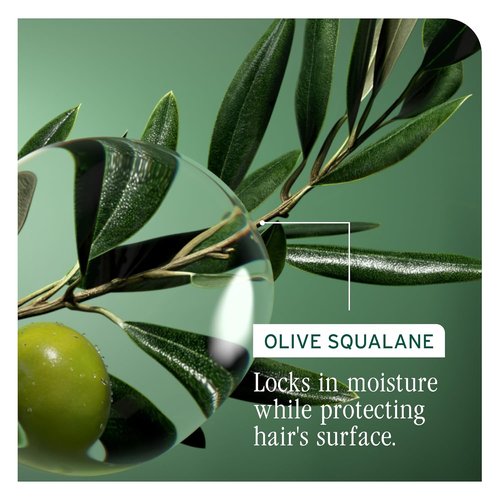 Biolage Strength Recovery Conditioner - Moisturizes & Strengthens Damaged Hair | Vegan & Paraben-Free Formula