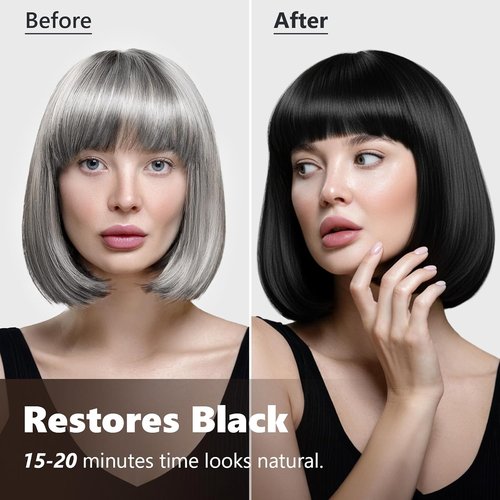 KAISASA Black Hair Dye Shampoo - 3 in 1 Formula for Gray Hair Coverage | 500ml Black Color