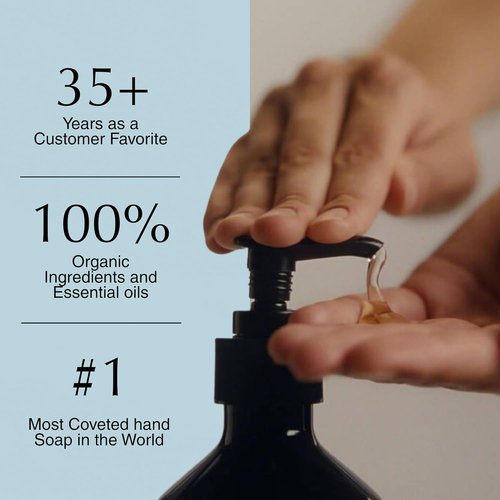 Aesop Reverence Aromatique Exfoliating Hand Wash - Gentle Cleansing & Skin-Smoothing Formula with Vetiver | 500mL / 16.9 oz