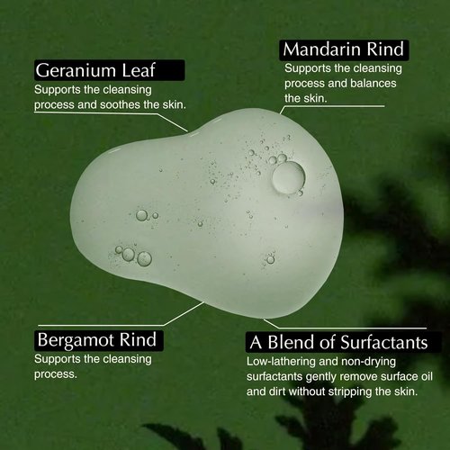 Aesop Geranium Leaf Body Cleanser - Refreshing Shower Gel with Geranium, Mandarin & Bergamot | 500 mL / 16.9 oz
