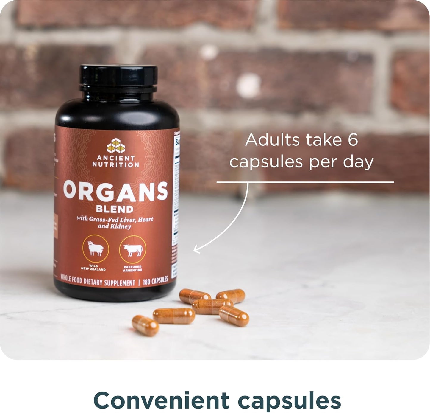 Ancient Nutrition Organ Supplements - Grass-Fed Organ Complex Capsules for Liver, Heart & Kidney Support | 180 Ct